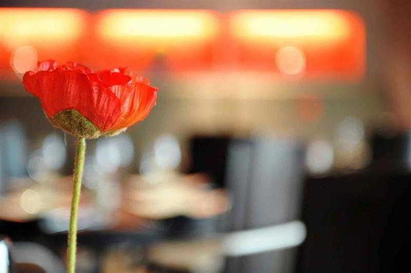 Mercure Hotel Brussels Airport Diegem Bagian luar foto